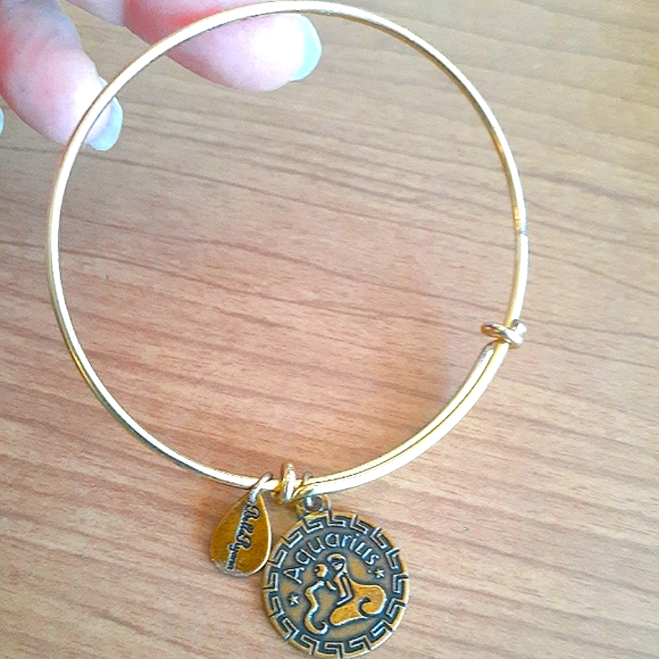 Nwot Bella Ryann Bangle Bracelet